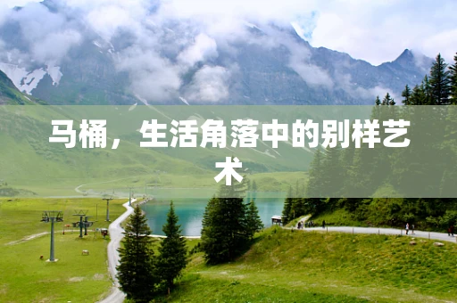 马桶，生活角落中的别样艺术