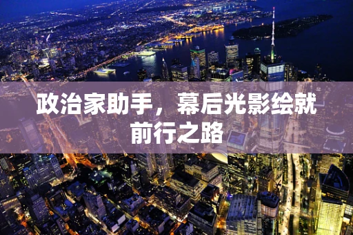 政治家助手，幕后光影绘就前行之路