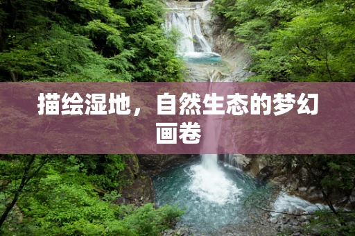描绘湿地，自然生态的梦幻画卷