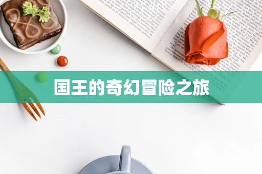 国王的奇幻冒险之旅