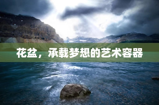 花盆，承载梦想的艺术容器