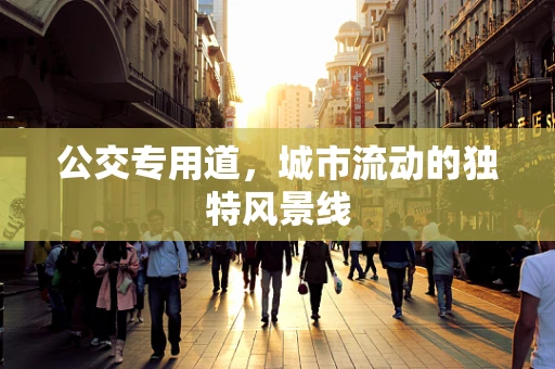 公交专用道，城市流动的独特风景线