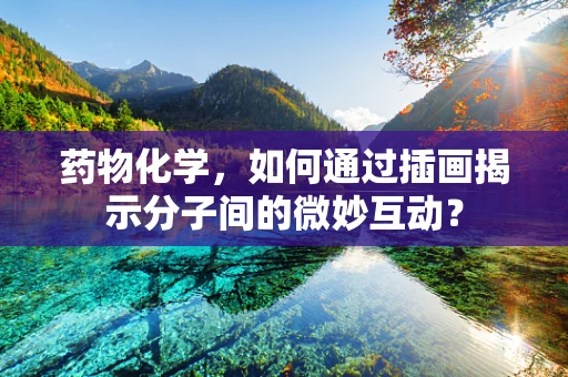 药物化学，如何通过插画揭示分子间的微妙互动？