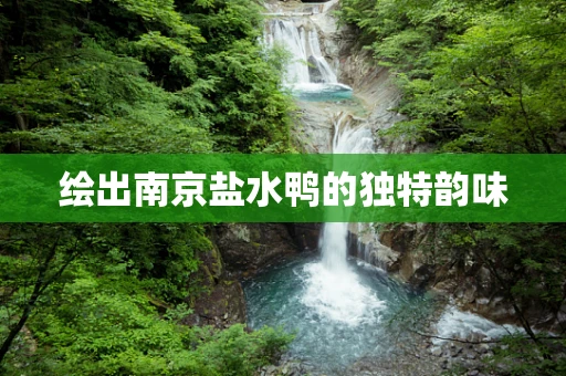绘出南京盐水鸭的独特韵味