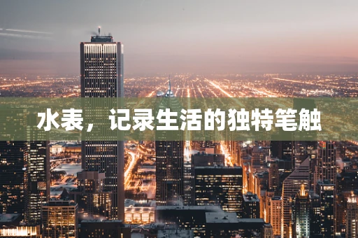 水表，记录生活的独特笔触