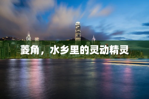菱角，水乡里的灵动精灵