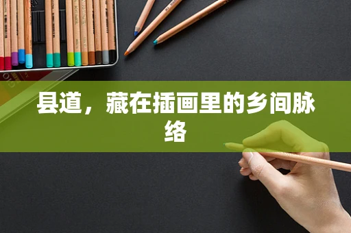 县道，藏在插画里的乡间脉络