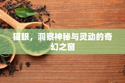 猫眼，洞察神秘与灵动的奇幻之窗
