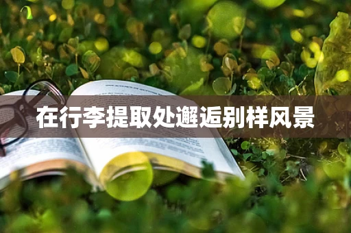 在行李提取处邂逅别样风景