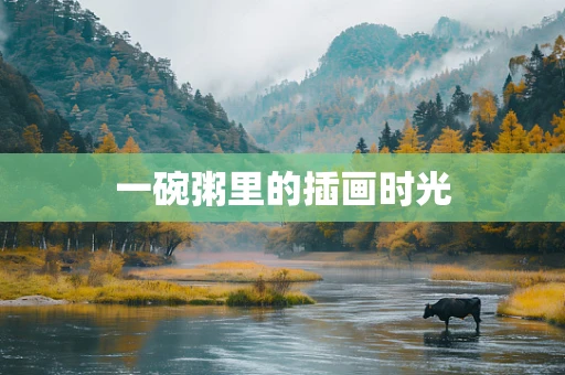 一碗粥里的插画时光