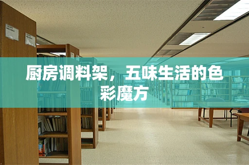 厨房调料架，五味生活的色彩魔方