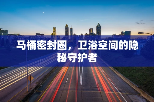 马桶密封圈，卫浴空间的隐秘守护者