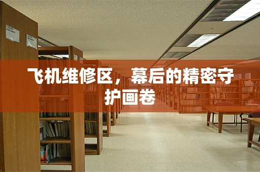 飞机维修区，幕后的精密守护画卷