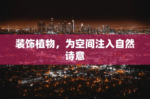 装饰植物，为空间注入自然诗意
