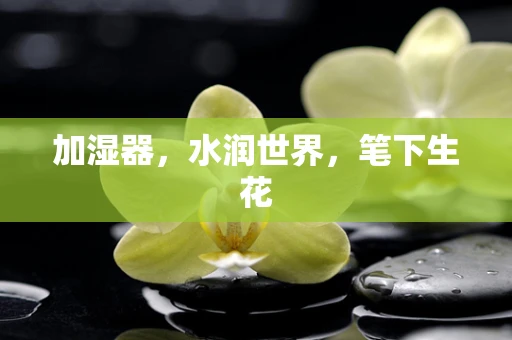 加湿器，水润世界，笔下生花