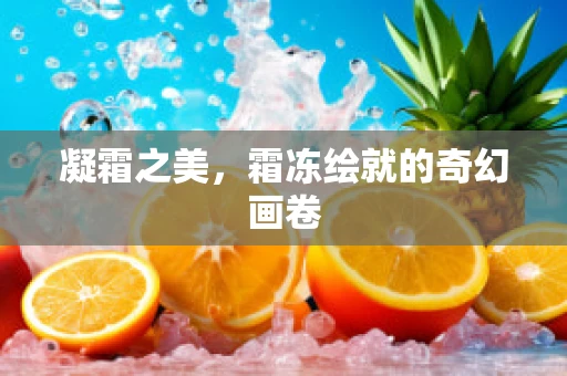 凝霜之美，霜冻绘就的奇幻画卷
