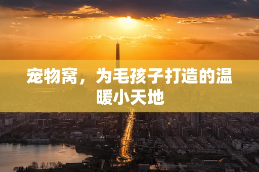 宠物窝，为毛孩子打造的温暖小天地