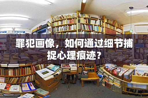 罪犯画像，如何通过细节捕捉心理痕迹？