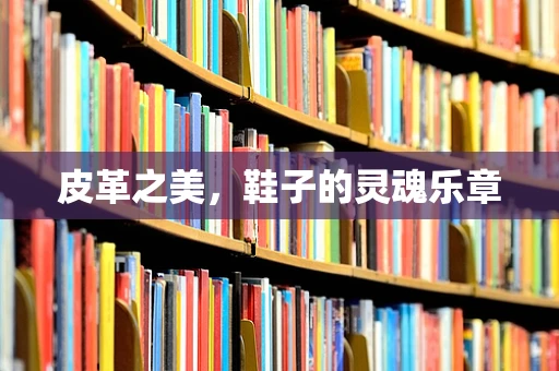 皮革之美，鞋子的灵魂乐章