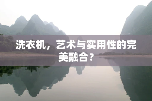 洗衣机，艺术与实用性的完美融合？