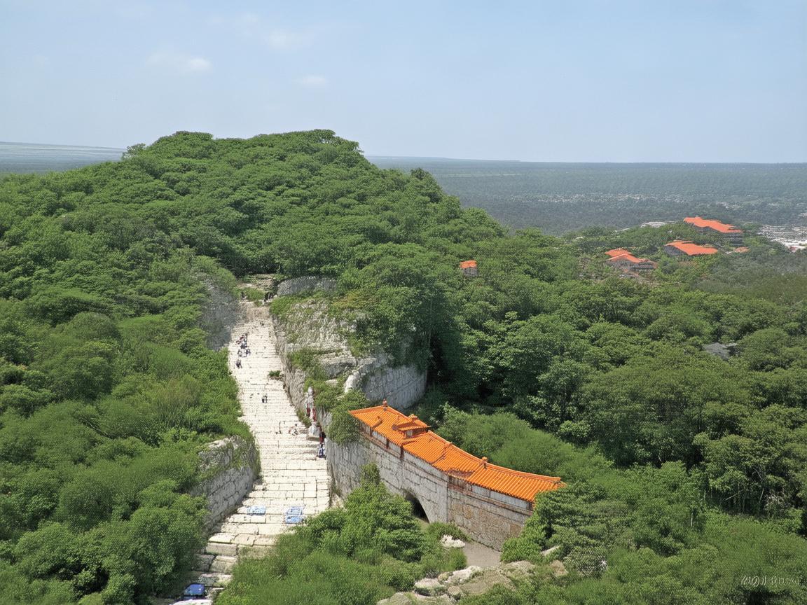 雷州风情，画笔绘就的多彩画卷